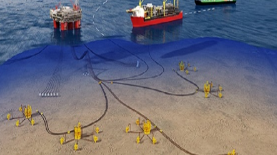 Integrated Reservoir Studies